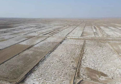 Physicochemical Properties of Chlorine Dioxide and Its Application in Soil Improvement & Saline-Alkali Land Restoration