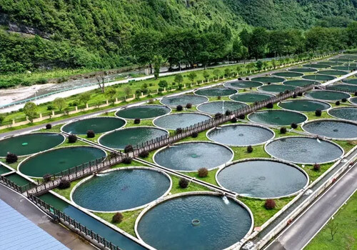 Sterilization Principle of Sodium Dichloroisocyanurate and Its Advantages in Drinking Water Pretreatment